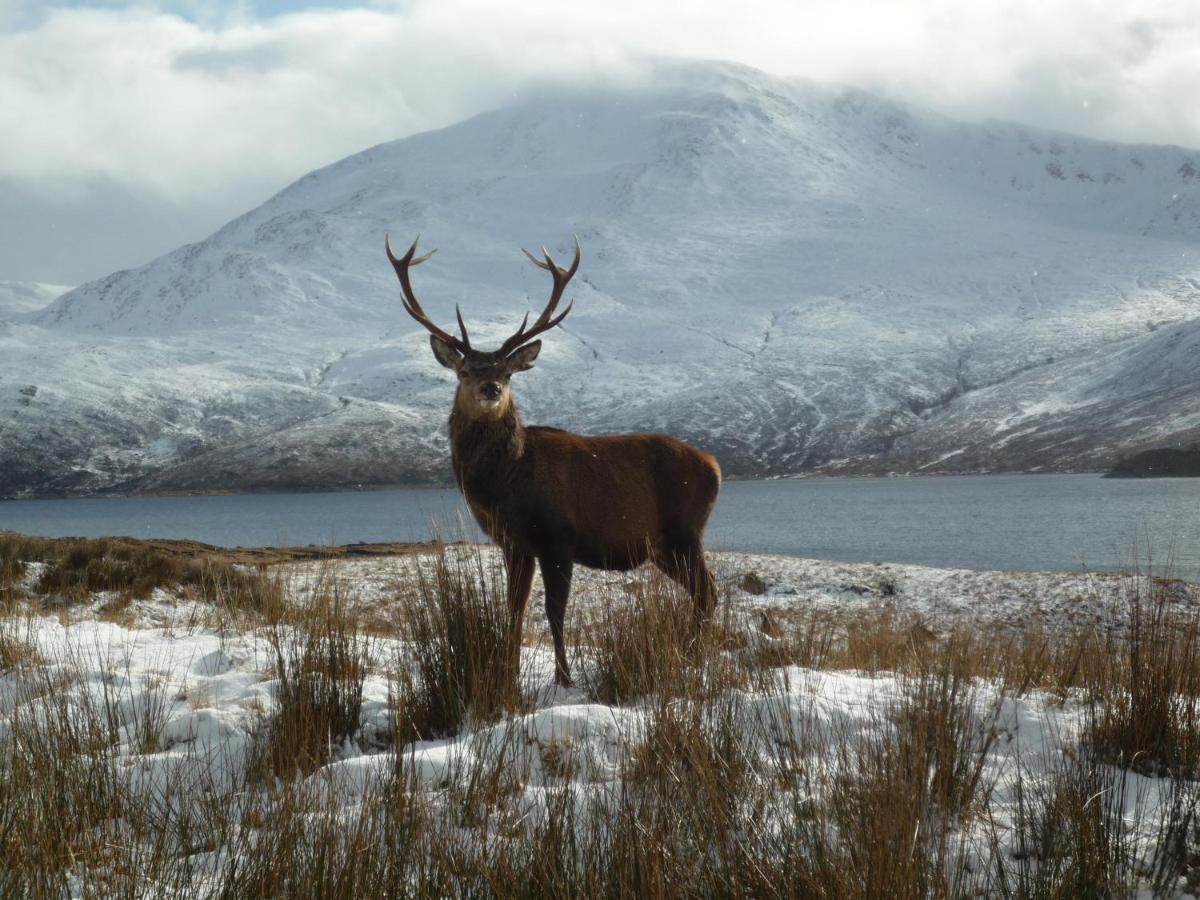 Caledonian Cabin Invergarry Esterno foto